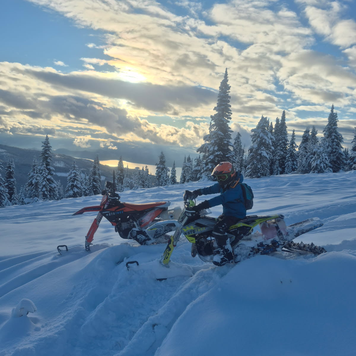 2027 Snow Check